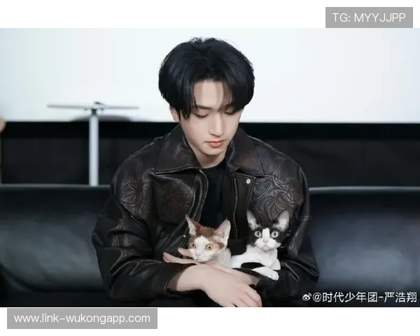 杨舒予家的猫都比我会理财