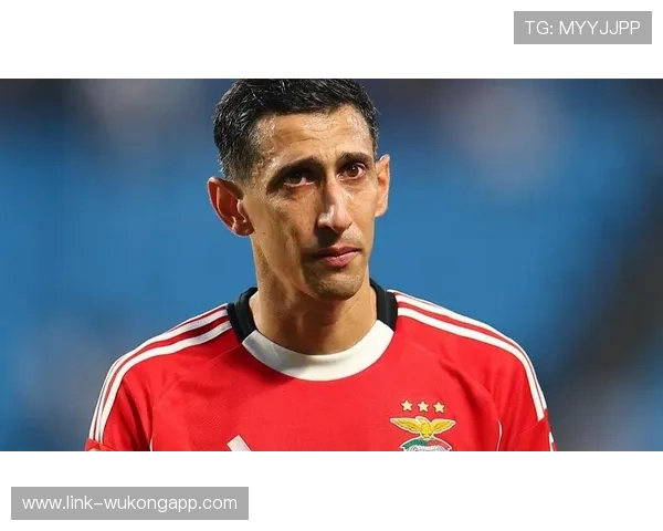 帕尔默与迪马利亚左脚技术细节及实战应用对比分析