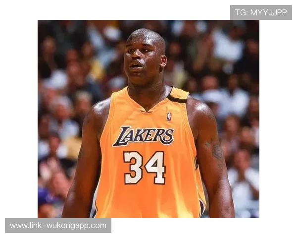 奥尼尔内线强攻造罚球优势明显 超越哈基姆成季后赛王者