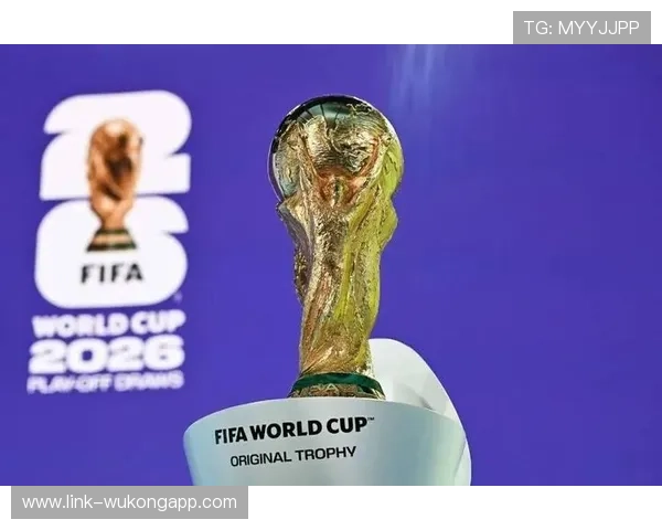 2026世界杯H组最终出线球队预测 2026世界杯H组最终出线球队预测
